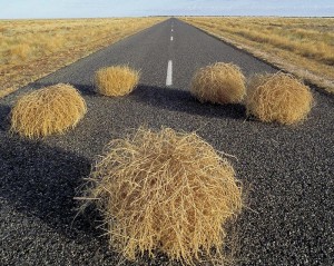 Tumbleweed Special